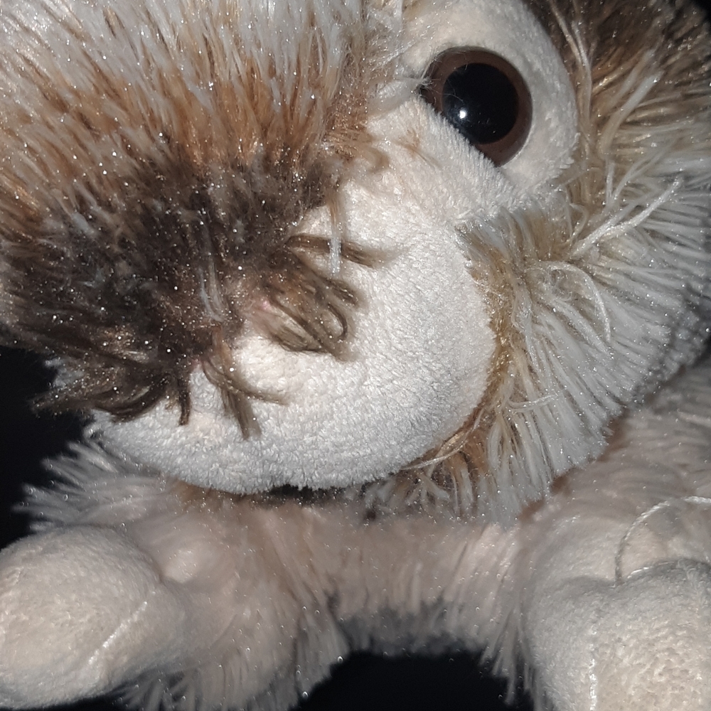 Dan Dee Collection Realistic Plush Easter Rabbit - Picture 7 of 8